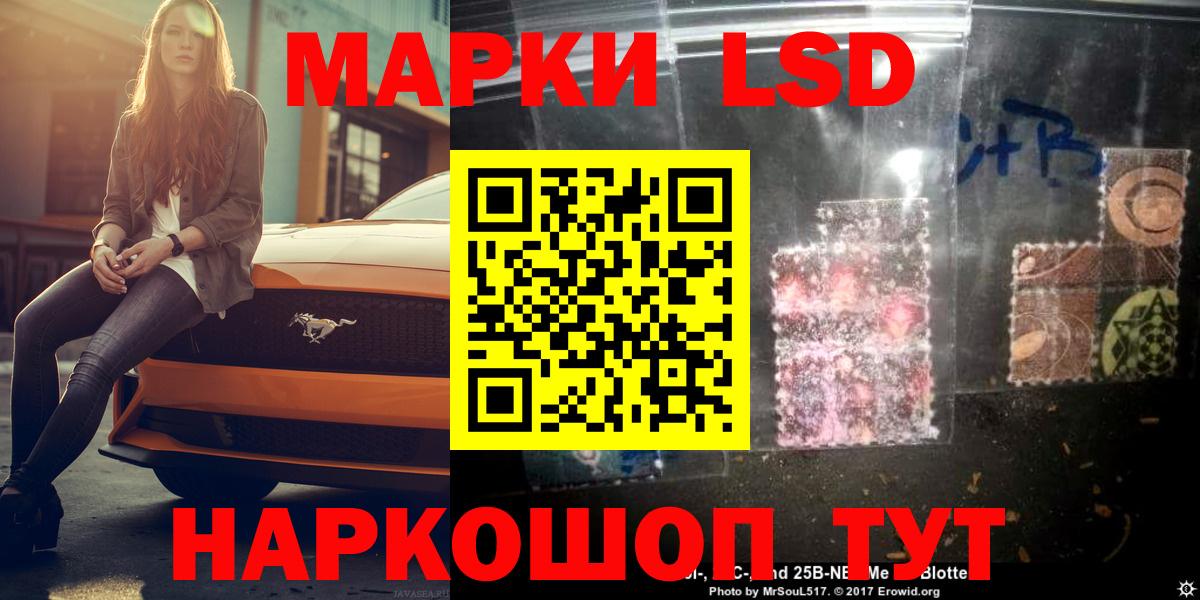 Галлюциногенные грибы Зима