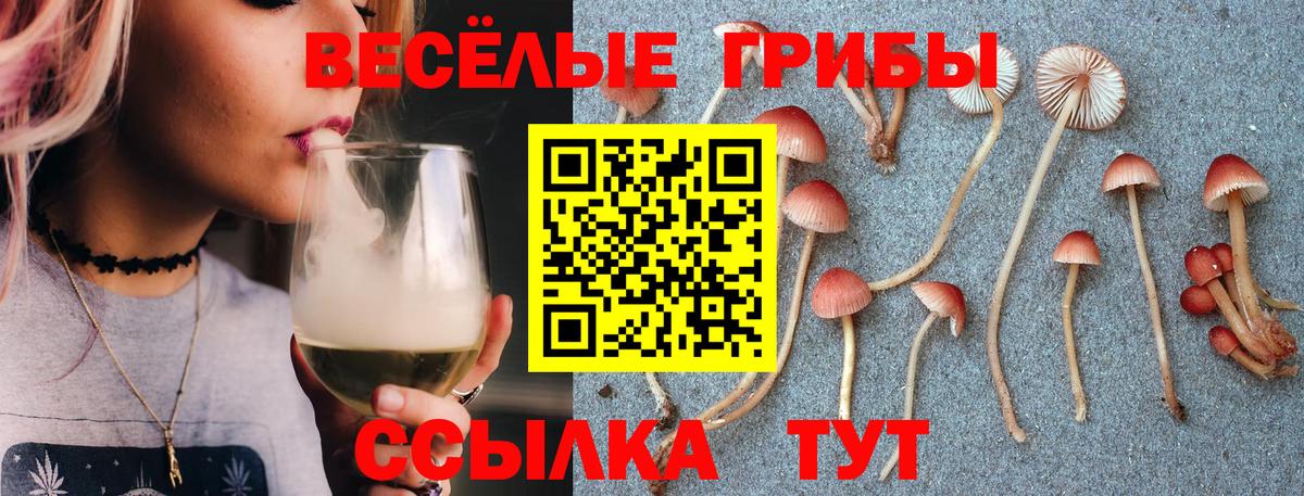 Галлюциногенные грибы MAGIC MUSHROOMS Зима