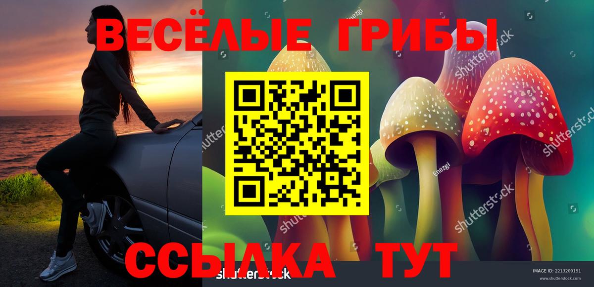 Зима  наркотики  Вход с VPN  Псилоцибиновые грибы прущие грибы 